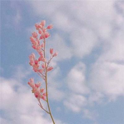 剑荡八荒bt公益服下载